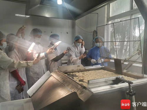海南本土網(wǎng)紅探訪龍泉人食品工廠 為網(wǎng)友安全采購(gòu)年貨 保駕護(hù)航